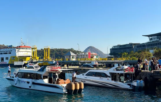 Tips Anti Mabuk Laut saat Naik Speedboat, Liburan ke Pulau Tetap Nyaman