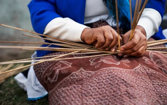 Mata Pencaharian Tradisional yang Tetap Eksis di Era Digital