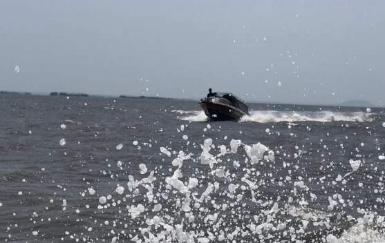 Hantam Gelombang Laut Muara menuju Benteng Ekologis Pesisir Desa Medan Mas