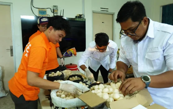 Petugas Gagalkan Dugaan Penyelundupan 1.286 Telur Penyu di Sambas