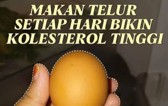 Makan Telur Setiap Hari Mitos atau Fakta