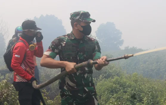 Dandim Ketapang Pimpin Pemadaman Karhutla di Sungai Pelang
