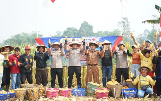 Lahan Eks-PETI di Bengkayang Hasilkan 5 Ton Jagung