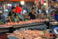 Idulfitri 1447 H: Permintaan Meningkat, Harga Ayam Potong Relatif Stabil