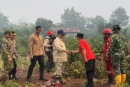 Presiden Akan Lanjutkan Peninjauan Penanganan Karhutla, Riau Jadi Tujuan Pertama