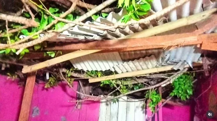 Pohon Tumbang Timpa Balai Pertemuan di Tegalkamulyan