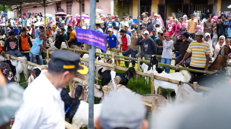 Festival Kambing Dorong Lumbir Jadi Sentra Ternak