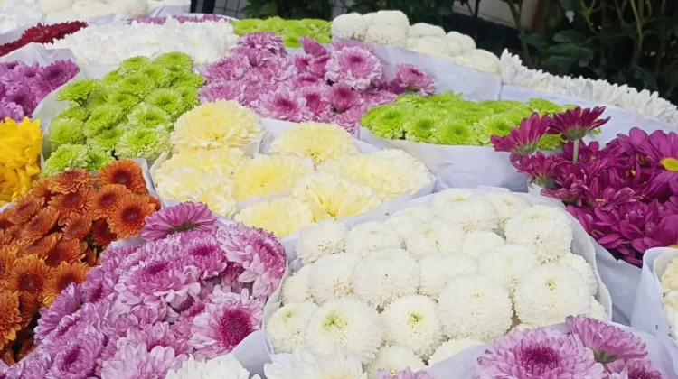 Bunga di hari Valentine