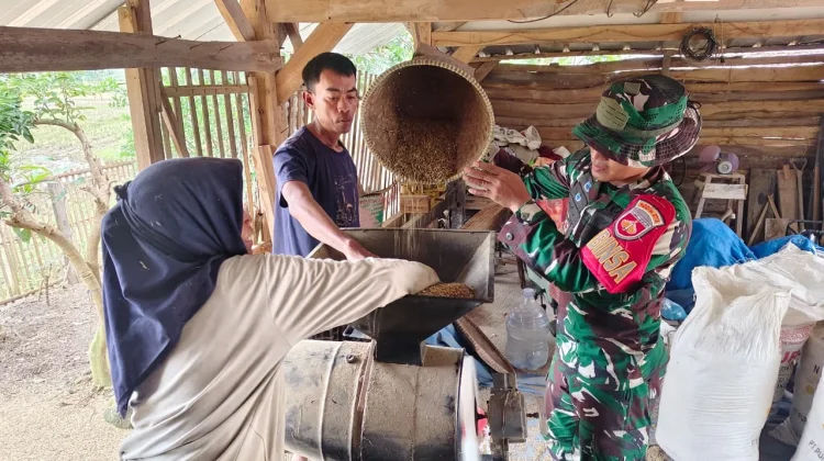 Pemilik Penggiling Padi di Brebes Gratiskan Layanan untuk Petani