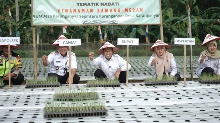 Desa Karanganyar Didorong Jadi Sentra Sayuran Andalan Cilacap