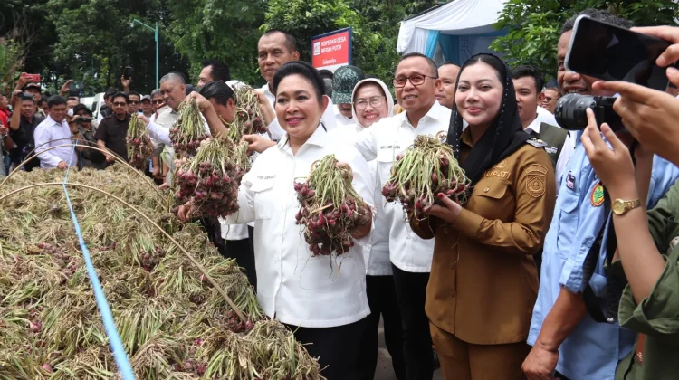 Rombongan Komisi IV DPR RI Kunjungi Pabrik Pengolahan Bawang Merah di Brebes