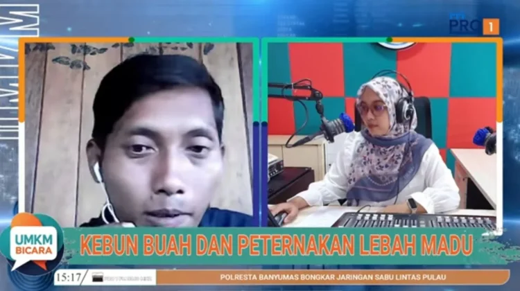 Strategi Cerdas Atasi Keterbatasan Lahan