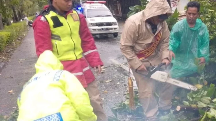 Polres Tegal Tangani Pohon Tumbang di Slawi