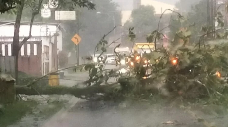 Cuaca Ekstrem Terjang Banyumas, 21 Titik Terdampak