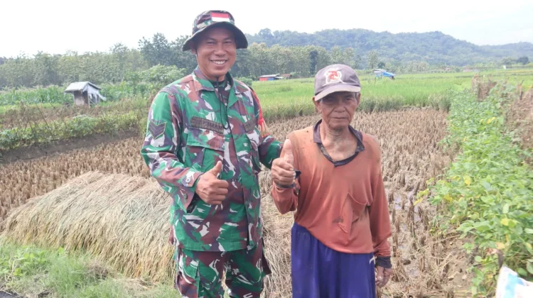 TMMD Brebes Bawa Harapan Baru bagi Petani Cikuya