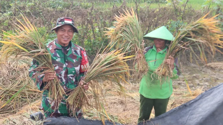Tidak Lagi Susah Bawa Hasil Panen, Senyum Petani di Atas Jalan Baru