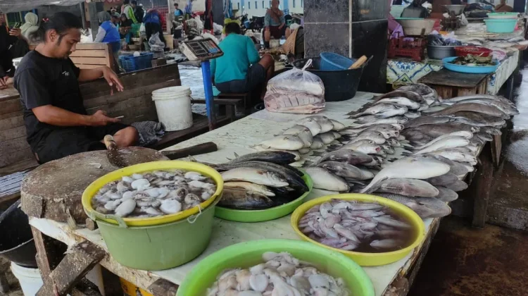 Cuaca Buruk, Tangkapan Ikan Perairan Kota Tegal Menurun