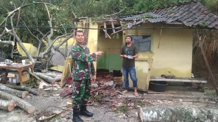 Warung Roboh Tertimpa Pohon saat Hujan Deras di Gumelar Banyumas