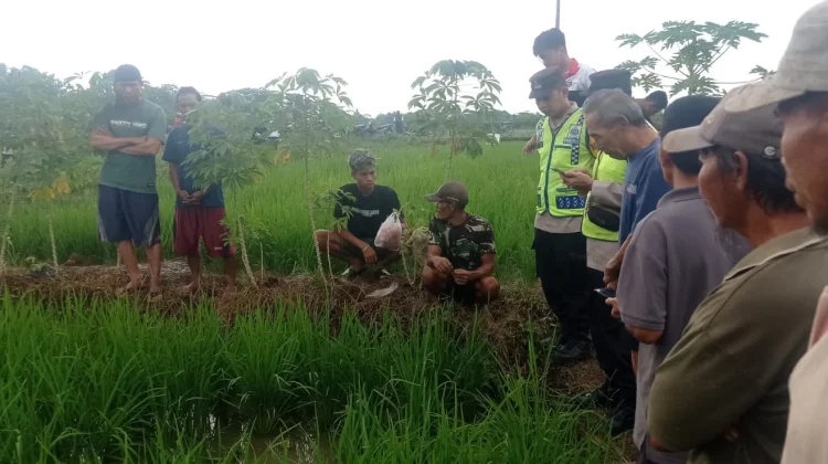 Petani di Kemangkon Ditemukan Meninggal di Sawah