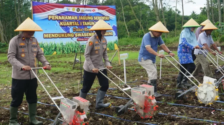 Polres Purbalingga Tanam Jagung Serentak Dukung Ketahanan Pangan
