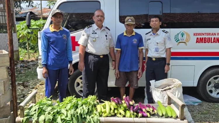 Panen Sayuran Warga Binaan Rutan Banyumas