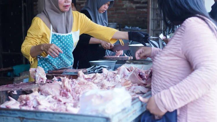 Harga Ayam Potong Mulai Naik jelang Lebaran