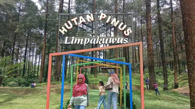 Pengelola Wisata Hutan Pinus Limpakuwus Siapkan Antisipasi Kecelakaan Pengunju