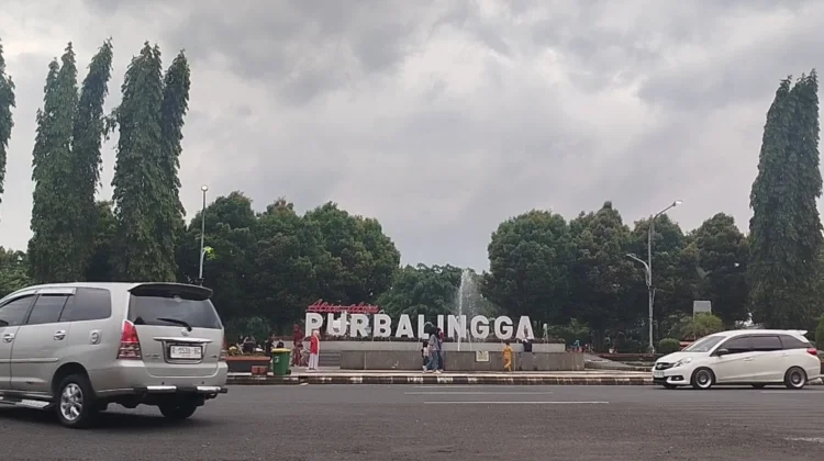Pemkab Purbalingga Ajukan Raperda Perlindungan Anak
