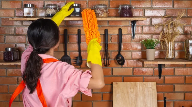 Rumah Tetap Bersih dan Sehat Selama Mudik: Tips dan Saran