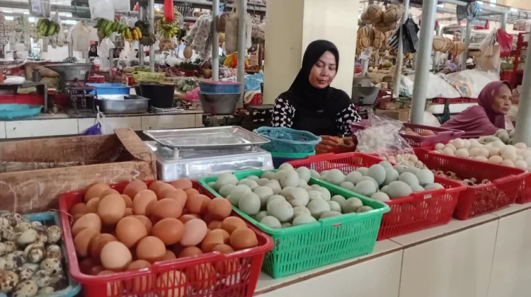 Harga Daging Ayam dan Telur Pasca Lebaran Mengalami Penurunan
