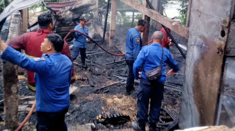 Kebakaran Kandang di Mrebet, Kerugian Ditaksir Ratusan Juta