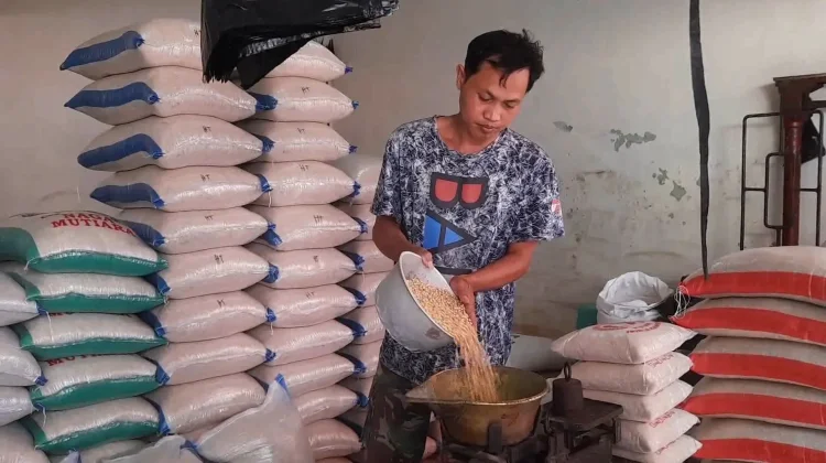Harga Kedelai di Banjarnegara Capai Rp 11.500 per Kilogram