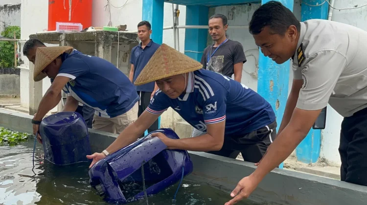 Budidaya Lele, Warga Binaan Lapas Brebes Tebar 2.000 Benih