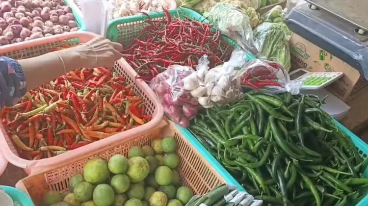 Harga Cabai Hijau Turun Drastis Menjadi Rp16 Ribu per Kilogram
