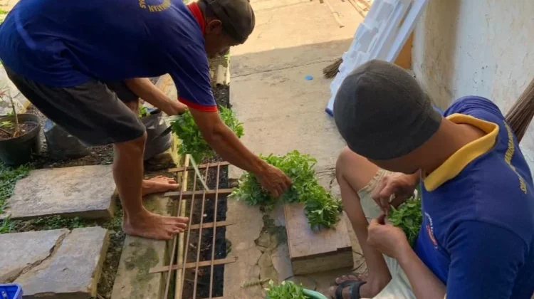 Warga Binaan Rutan Banyumas Panen Hortikultura