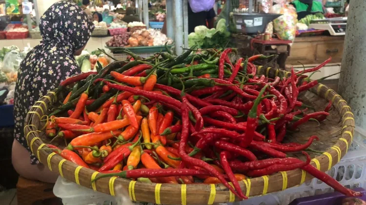Pasokan Minim, Harga Cabai Merah Keriting Tembus Rp42 Ribu per Kilogram