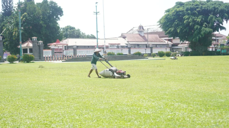 Area Rumput Alun-Alun Purwokerto Dibuka, “Dijaga, Ya!”