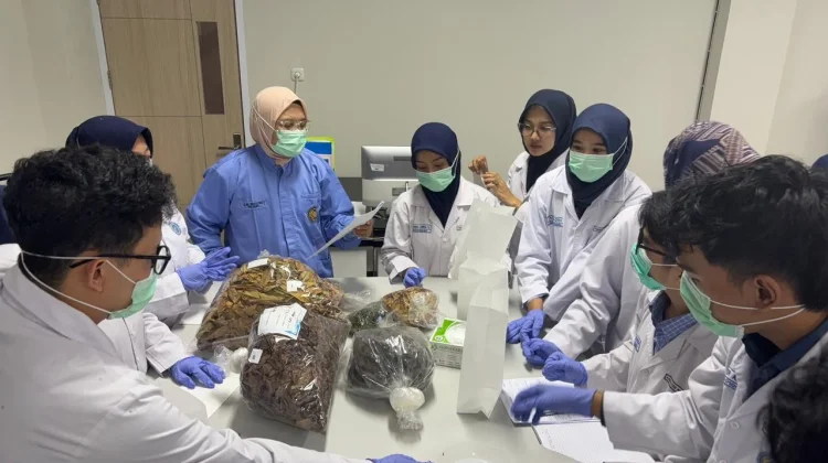 Workshop Herbal FK UMP, Mahasiswa Belajar Resep hingga Racik Jamu