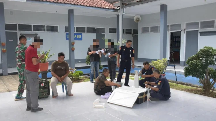 Lanal Cilacap Gagalkan Penyelundukan Ribuan Benih Lobster