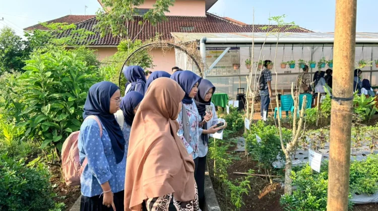 Ratusan Peserta Ikuti Workshop Kedokteran Herbal FK UMP