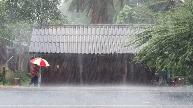 Hujan Sedang hingga Lebat Berpotensi Guyur Banyumas