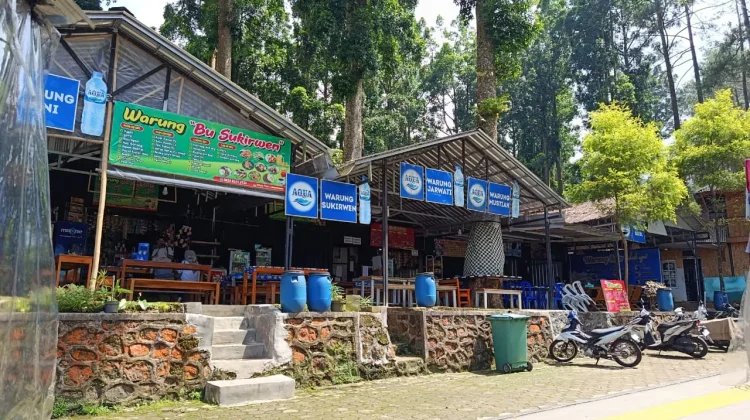 Wisata Hutan Pinus Limpakuwus Ramai Dikunjungi saat Akhir Pekan