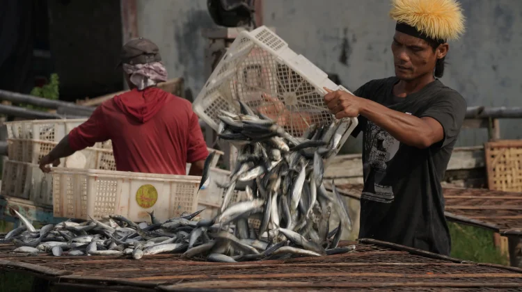 Jadikan Tegal Sebagai Pusat Studi, UHN Gandeng Rujak Center Luncurkan PKPP
