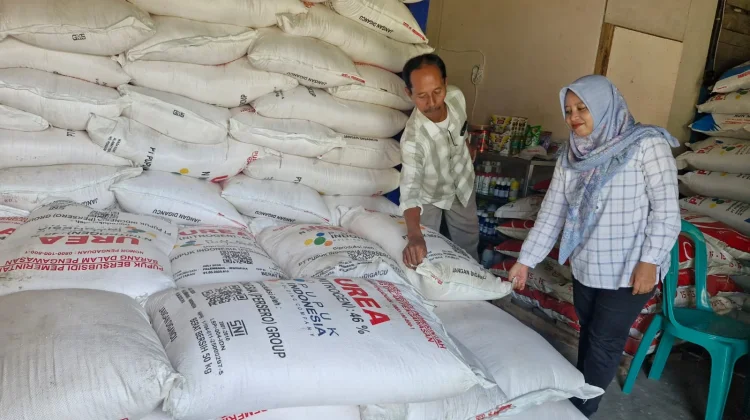Ketersedian Pupuk dan Digitalisasi Distribusi Angkat Produktivitas Petani Cila