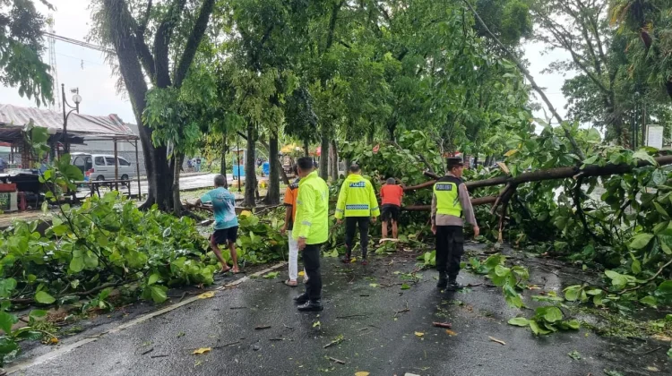 Respons Cepat Polsek Purbalingga Bantu Evakuasi Dua Pohon Tumbang