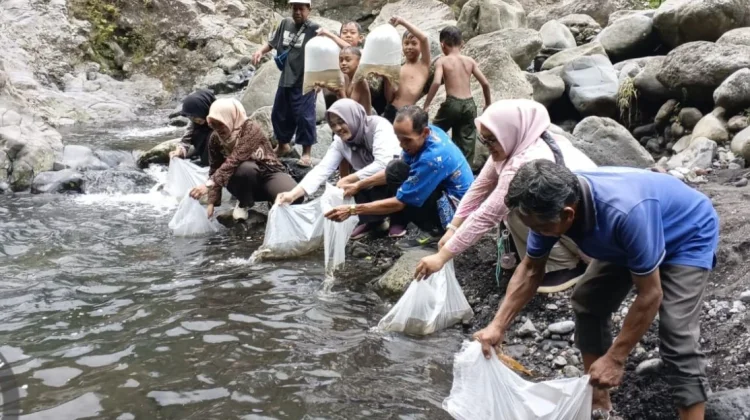 DKPP Banyumas Lakukan Restocking Ikan, Pastikan Keberlanjutan Populasi Perairan