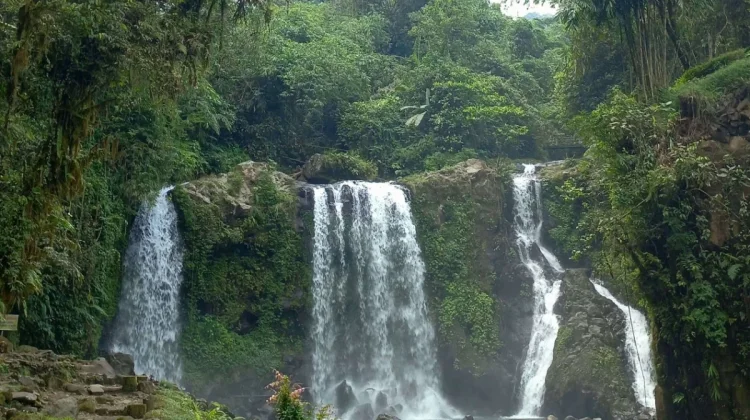 Dari Mata Air Gunung Slamet: Aliran Jernih Curug Jenggala yang Menyegarkan