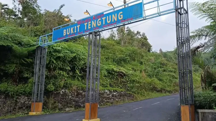 Bukit Tengtung, Sensasi Camping dengan Panorama Gunung dan Kota