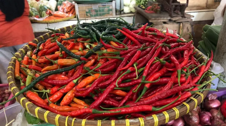 Jelang Idul Adha, Cabai Rawit Merah Tembus Rp68 Ribu per Kg