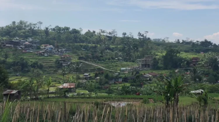 BMKG Prakirakan Hujan Sedang hingga Lebat Guyur Purwokerto Siang hingga Malam